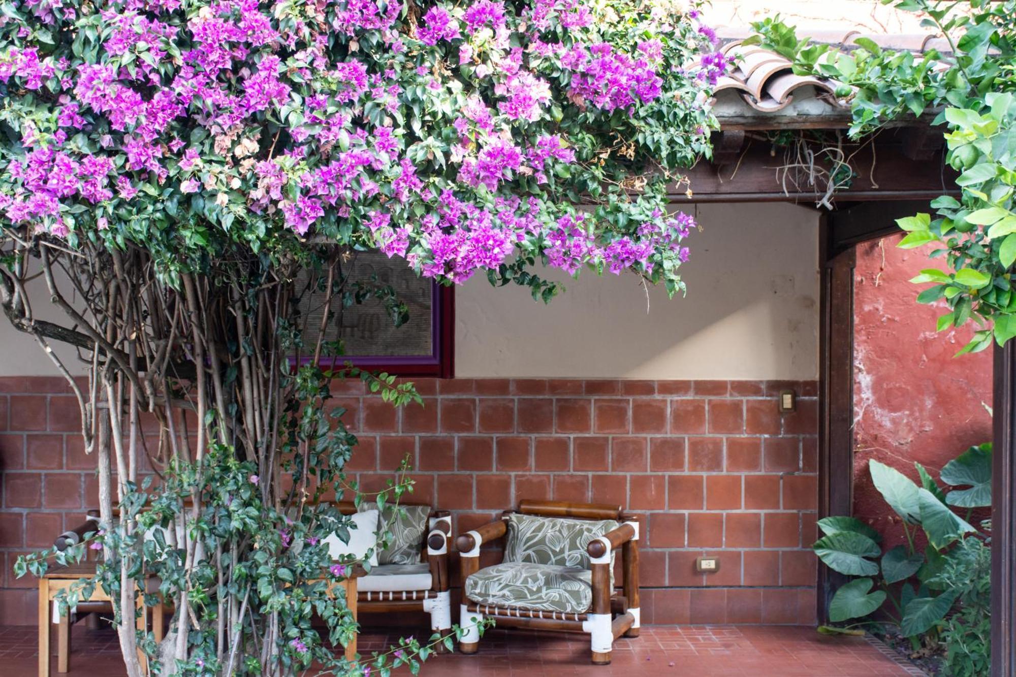 Hotel Boutique La Candela Salta Dış mekan fotoğraf